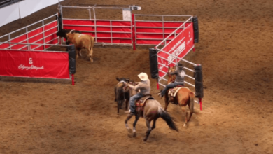 What are the strategies used in team penning?