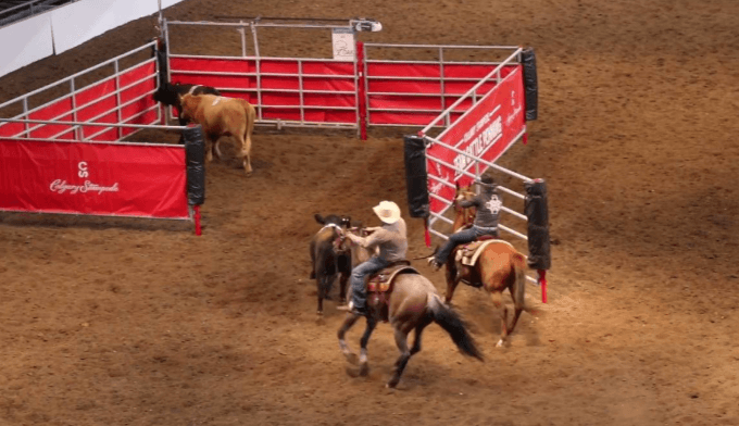 What are the strategies used in team penning?