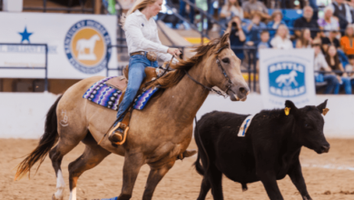 What is the history of tent pegging?