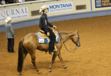 How can I train my horse for western pleasure?