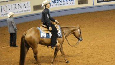 How can I train my horse for western pleasure?