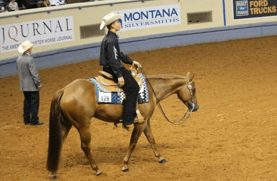 How can I train my horse for western pleasure?