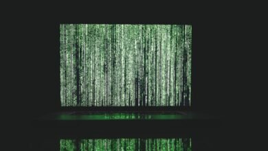 contact information review needed