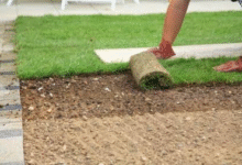 Artificial Grass vs Sod: Which Lawn Is Right for You?