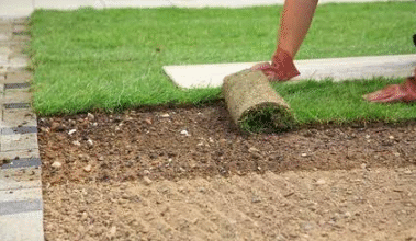 Artificial Grass vs Sod: Which Lawn Is Right for You?
