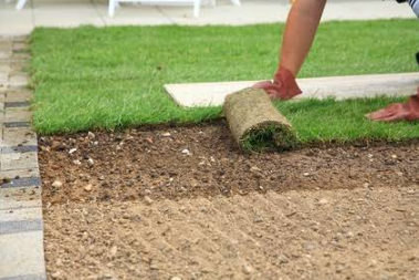 Artificial Grass vs Sod: Which Lawn Is Right for You?